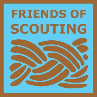 Friends of Scouting Bronze