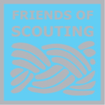 Friends of Scouting Silver