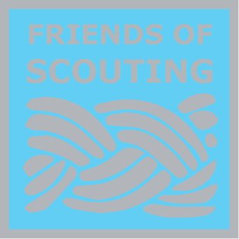 Friends of Scouting Silver Friends of Scouting Silver