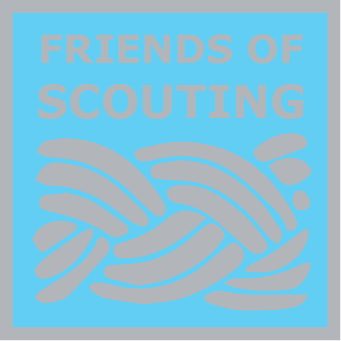 Friends of Scouting Silver